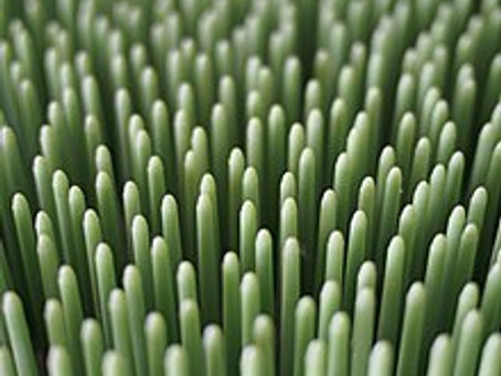 The Frustrating Reality Regarding Astroturfing, Cover-Up, Suppression, Blacklisting, Shadow-Banning, & Why the Truth is so Difficult to Disclose