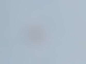 Betty, the UFO flying saucer, a consciousness-based UFO