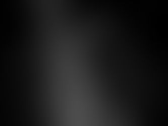 Nahaufnahme eines Pferdegesichts