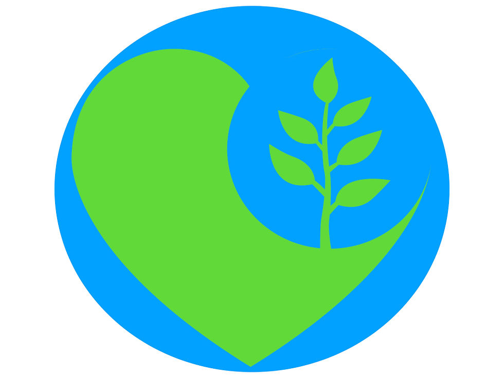 LOGO TIERRAVIVA 2024.005.jpeg