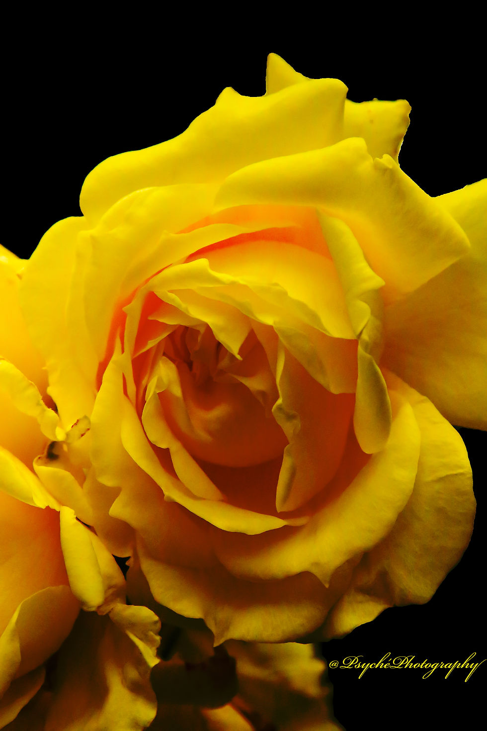 0TOPGS1A0492