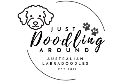 Just Doodling Around Logo