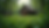 Eye-level view of a rustic cabin surrounded by lush greenery