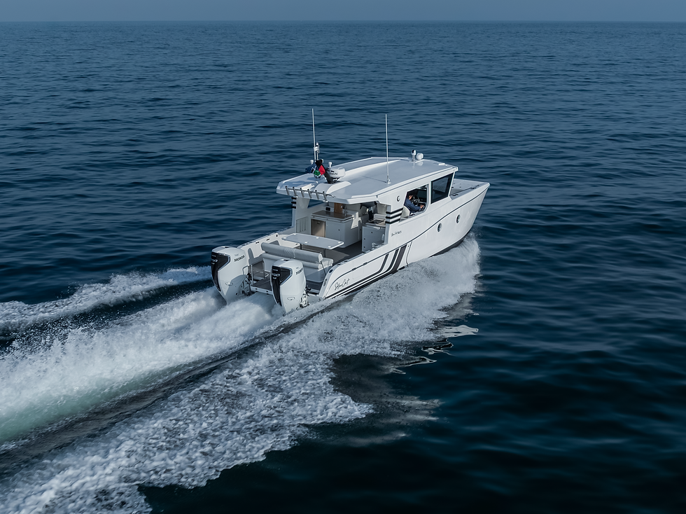 SilverCat 35CX