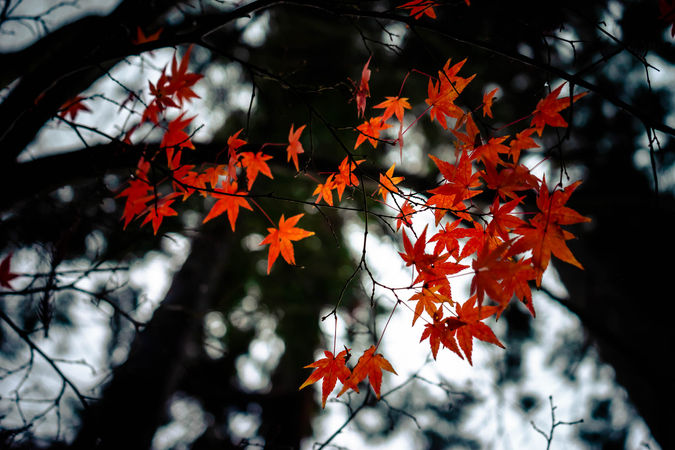 DSC01615.jpg