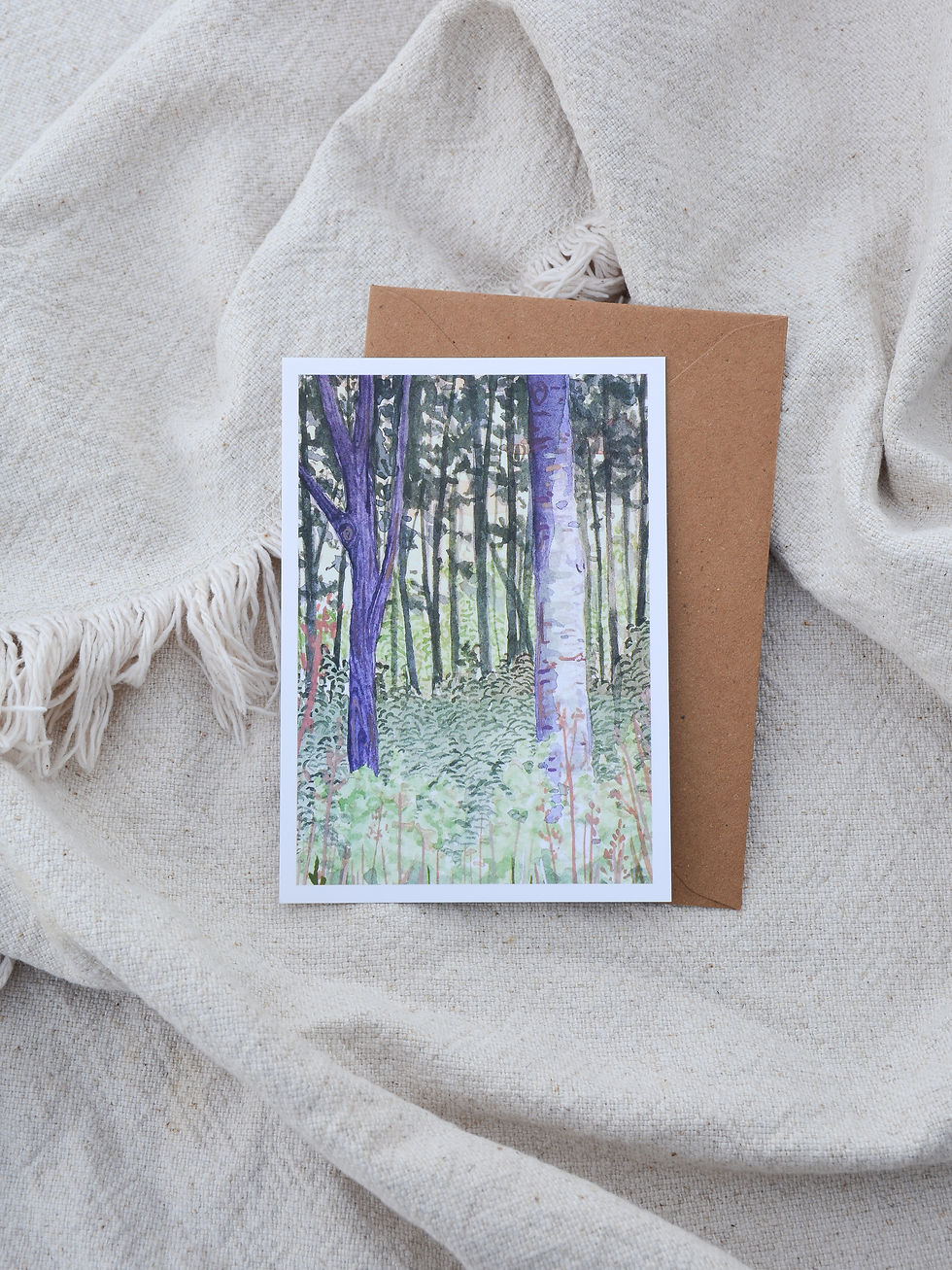 Dutch forest | postcard