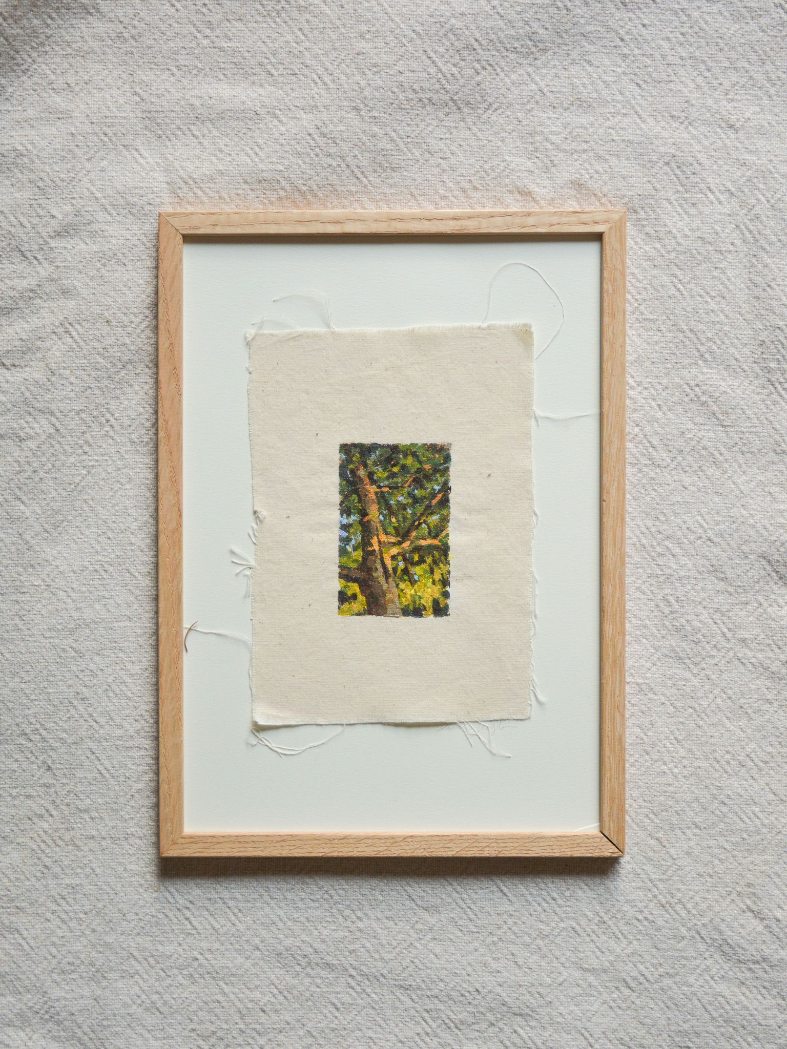 The Day Slipped Quietly Through The Branches