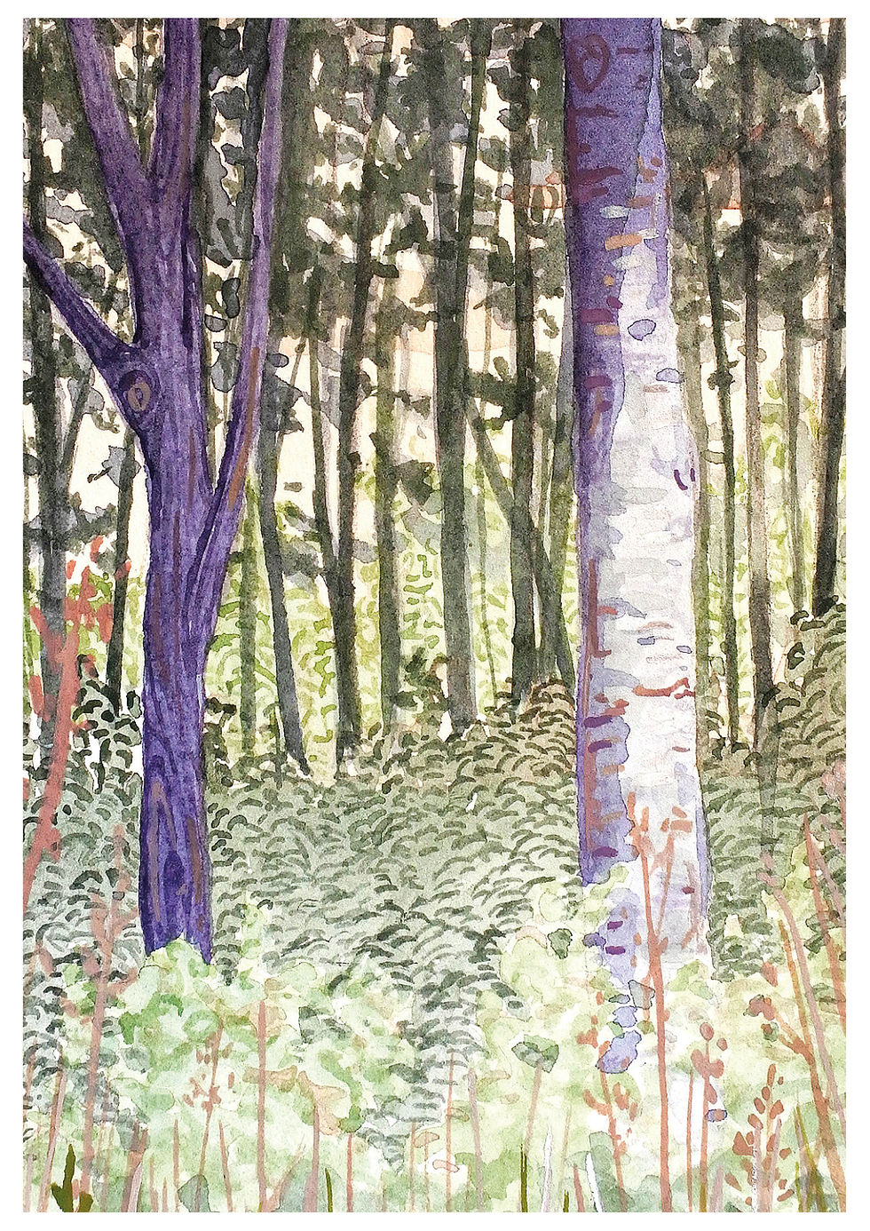 Thumbnail: Dutch forest | postcard