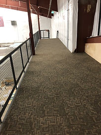 carpet .jpeg