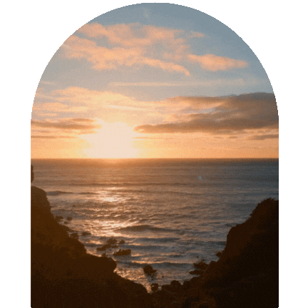 Untitled design (1).gif