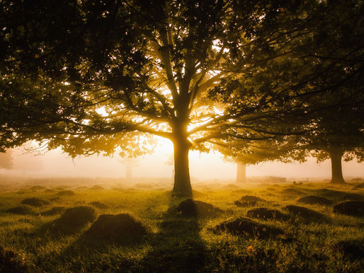 LECCIONES DE LA VIDA