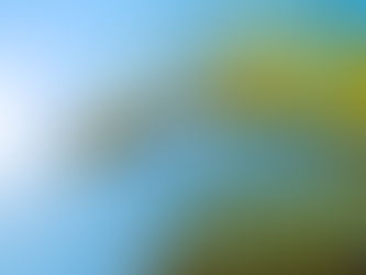 SER COMPROMETIDO SIEMPRE