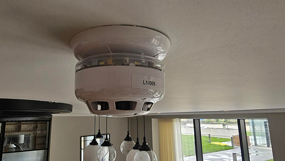 Eye-level view of an outdoor fire alarm system installed on a building exterior