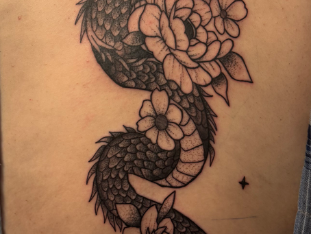 Large black and grey dragon spine tattoo with stipple shading, surrounded by detailed flowers and stars, symbolizing strength, transformation, and beauty.