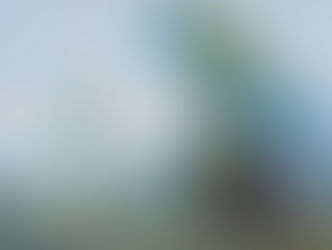 Elmer and Marion K. Wachtel