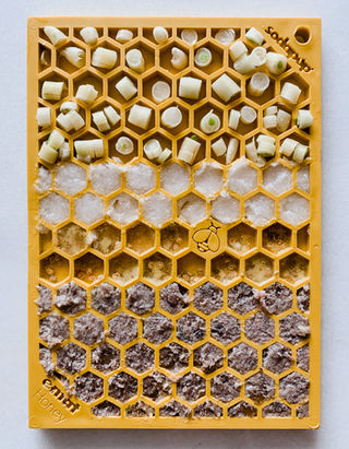 licki mats for dogs ideas