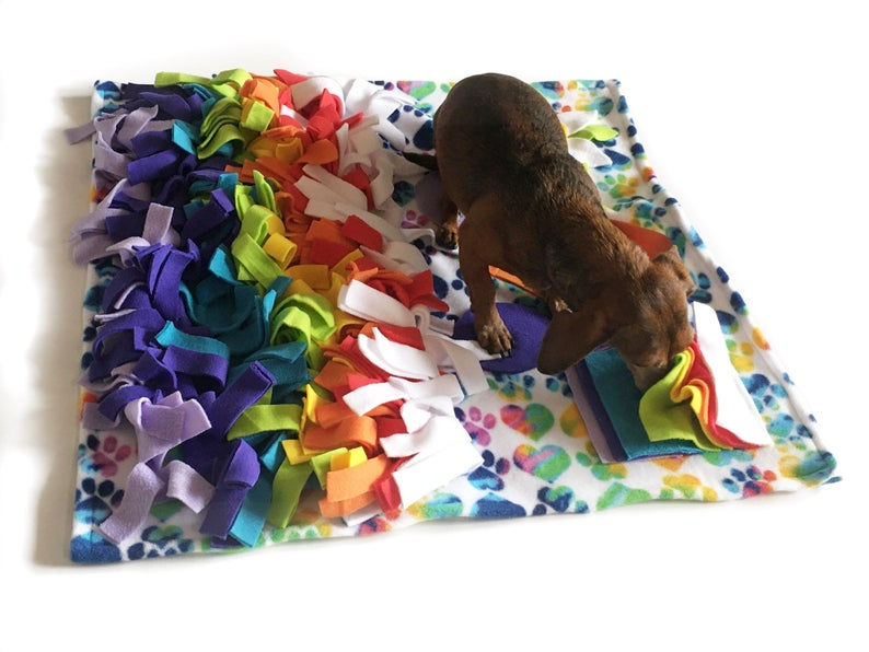 Snuffle Mat Guide Benefits, Where to Find Them, and Some Tips and Tricks