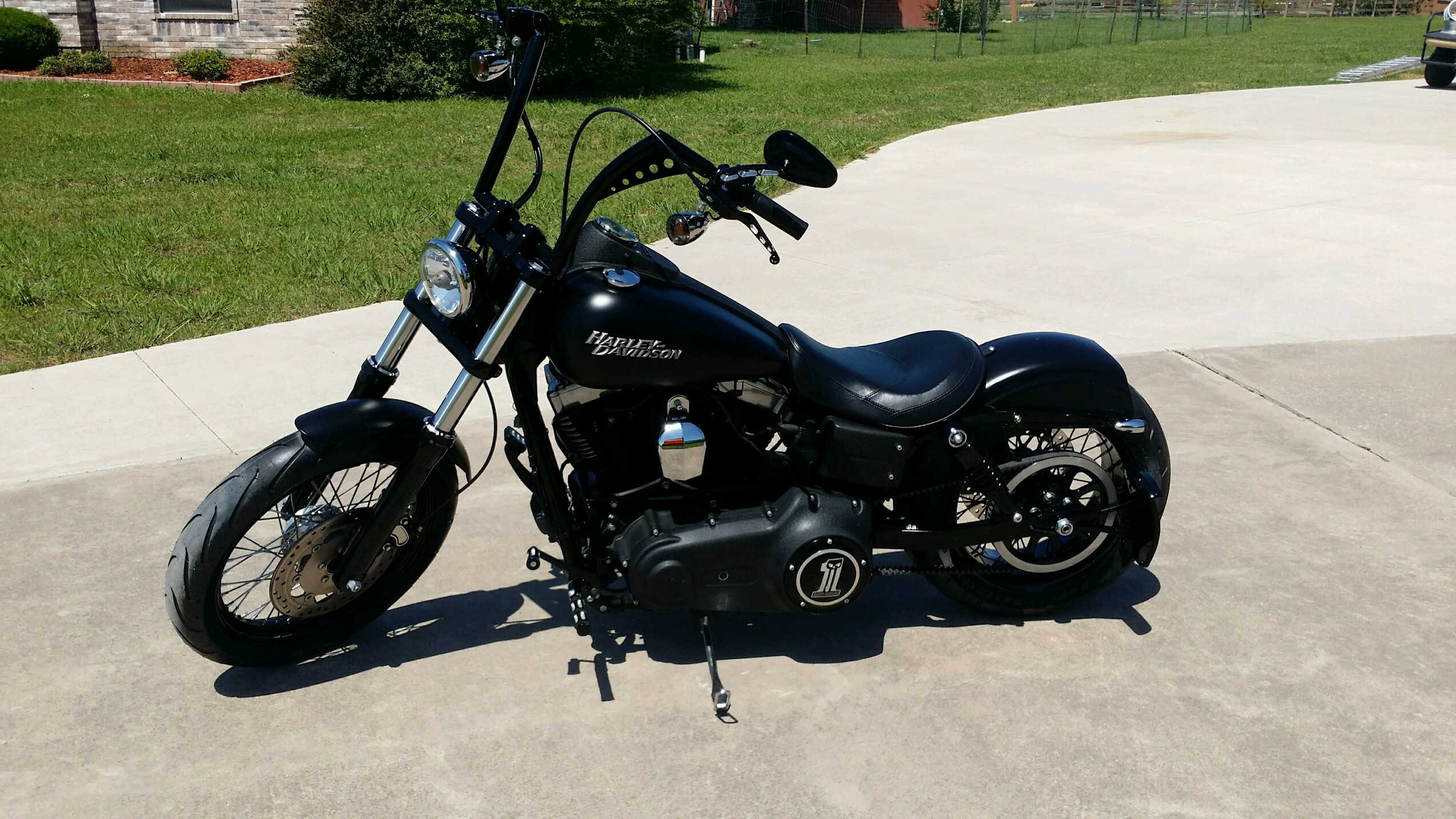 Harley street bob