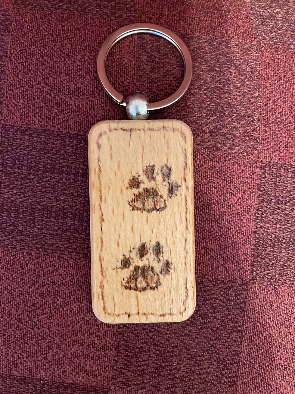 Thumbnail: Wooden Keychain Variety