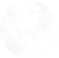 Black and White Earth _edited.png