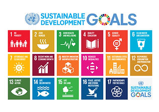 17-SDGs.jpeg