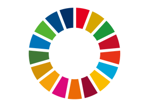 sdg_icon_wheel_2.png