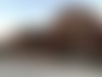 A log cabin resturant, with red accent painting