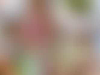 The Nest Café: Where Health Meets Flavor in Frisco