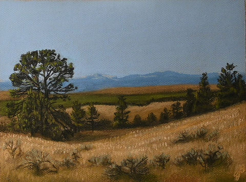field overlooking trees and mountains