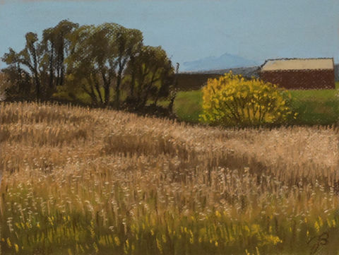 trees next to farm
