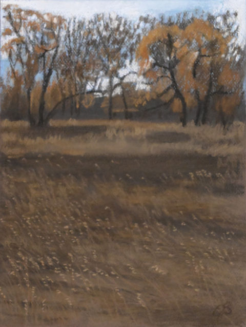 field and trees