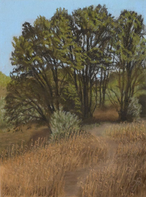 trees on farm