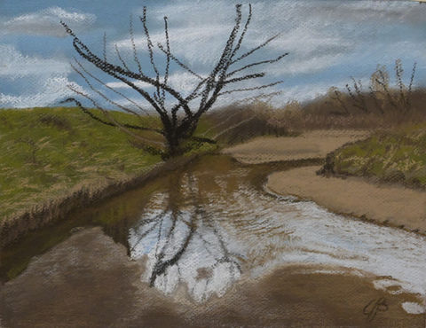dead tree overlooking dry river