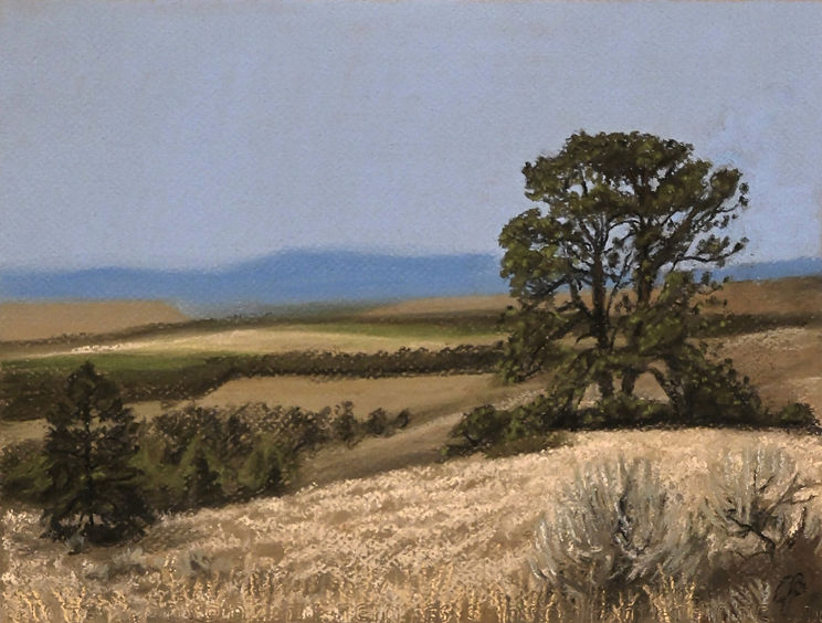 Soft pastel painting of rolling hills and a lone tree.