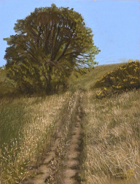old footpath