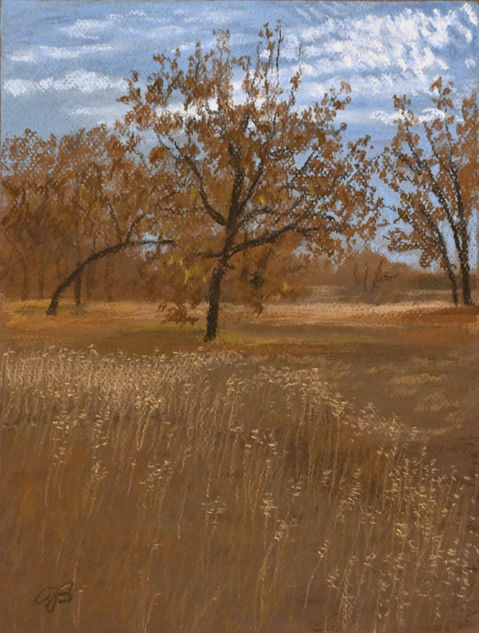 trees and field