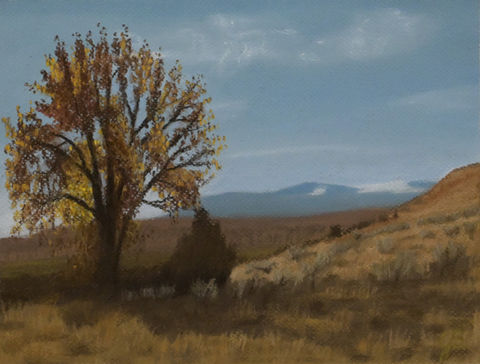 tree in field with mountains