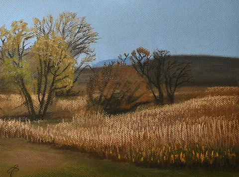 wheat field with trees