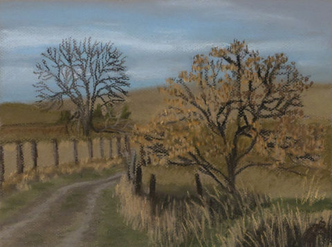 Old road through farmland