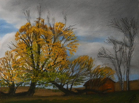 yellow tree with barn in background
