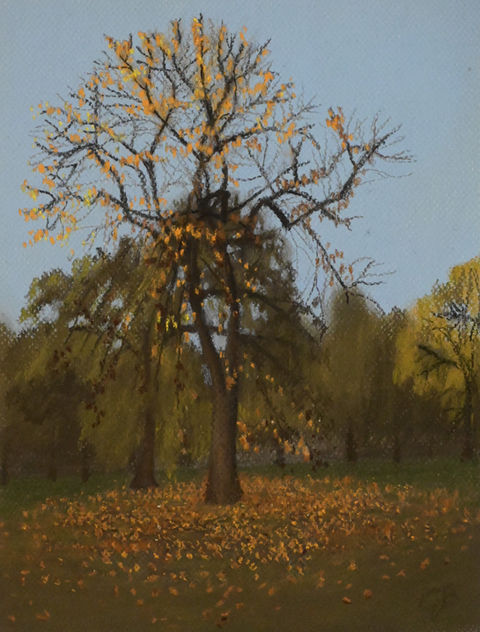 tree during fall