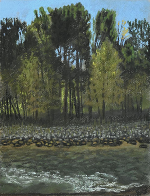 river with trees alongside