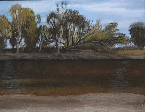 riverbed with trees
