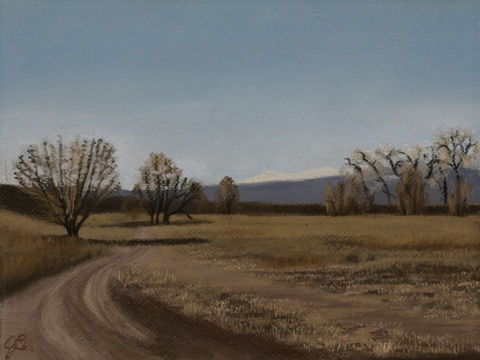 country road with trees