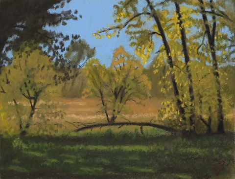trees in field