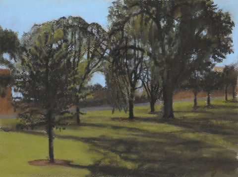 trees on grass