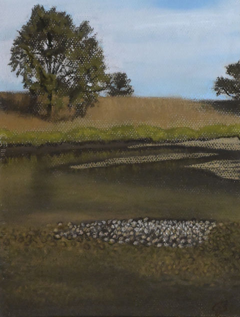 low flowing river
