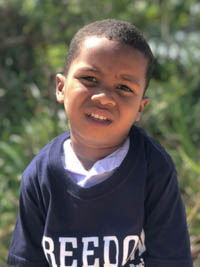 Daviel 2019-2020