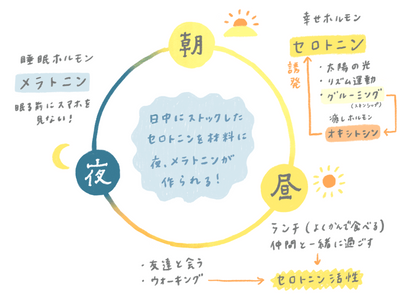 セロトニンとメラトニン