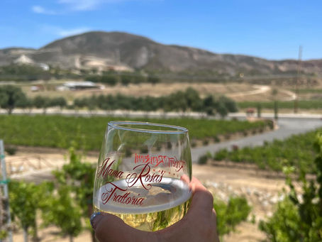 カリフォルニア現地レポ①テメキュラヴァレー